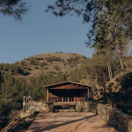Bosco Paradiso リマソール エクステリア 写真