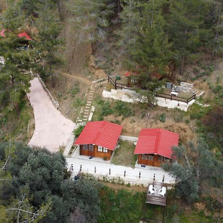 Bosco Paradiso リマソール エクステリア 写真