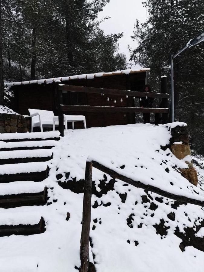 Bosco Paradiso リマソール エクステリア 写真