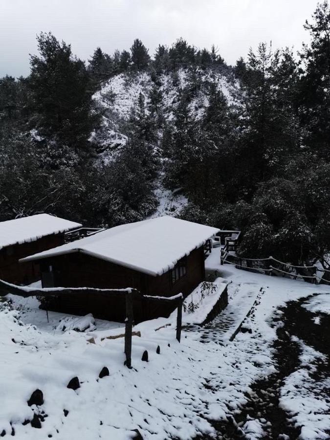 Bosco Paradiso リマソール エクステリア 写真