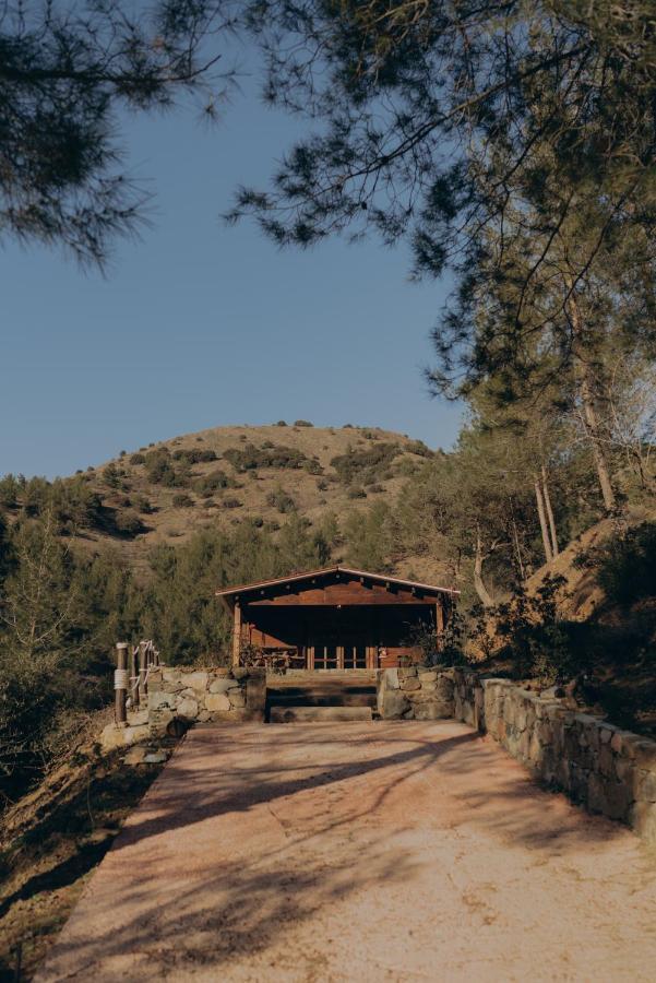 Bosco Paradiso リマソール エクステリア 写真