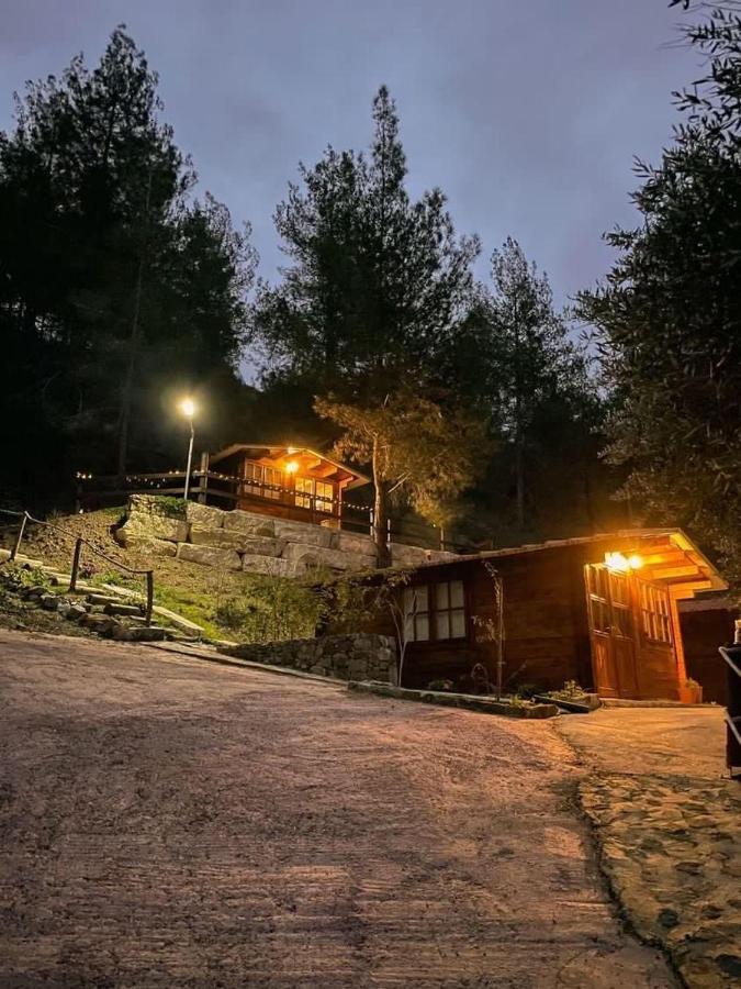 Bosco Paradiso リマソール エクステリア 写真